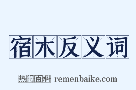 宿木反义词是什么意思的图片